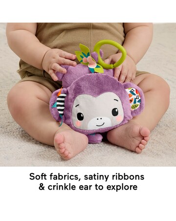 Fisher-Price Sing & Go Purple Monkey