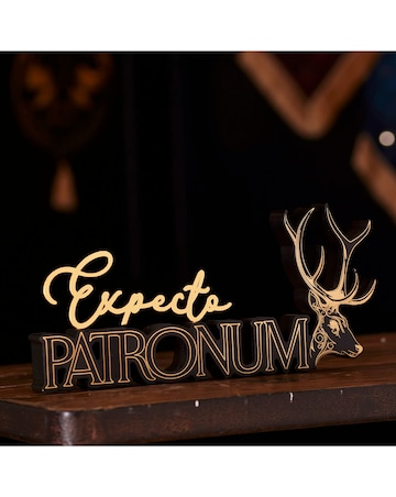 Warner Bros Harry Potter Alumni Spell Sign 'Expecto Patronum'