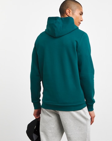 PUMA Essentials Big Logo Hoodie