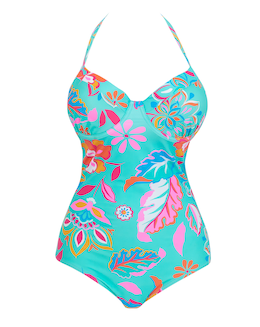 Padded Underwired Plunge Swimsuit