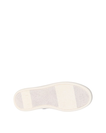 Skechers Black Bobs D'Vine Slip In Trainer -Standard Fit (D)