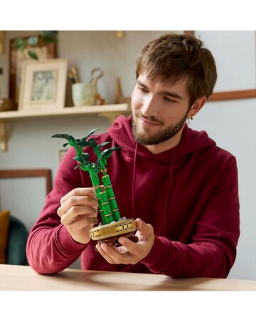LEGO Botanicals Lucky Bamboo Indoor Plant Decor, Gift for Nature Lovers 10344