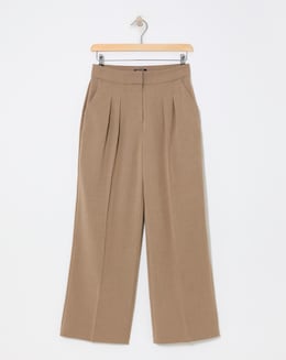 Pleated Wide Leg Trousers