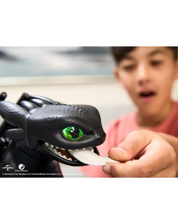 DreamWorks How to Train Your Dragon Tame and Train Interactive Toothless
