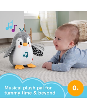 Fisher-Price Flap & Wobble Penguin