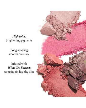Laura Geller Baked Blush-n-Brighten Marbleized Blush - Starfish Island