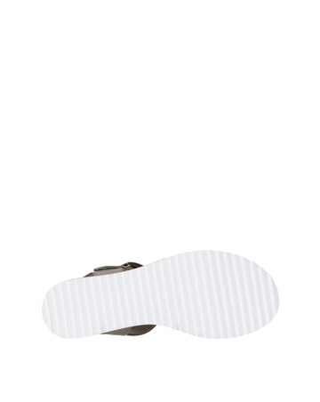 Skechers Bobs Desert Kiss Buckle Sandals Standard Fit