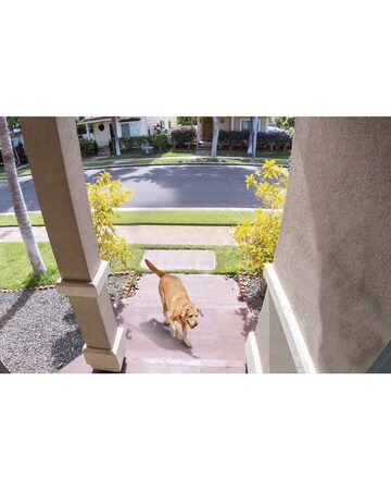 TP-Link Tapo Smart Video Doorbell Camera Kit