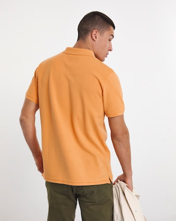 Joe Browns Washed Bright Polos Long Length
