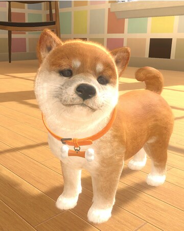 Little Friends: Dogs & Cats (Nintendo Switch)