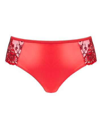 Contemporary Embroidery Midi Brief