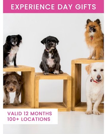 Pet Portrait - Experience Voucher