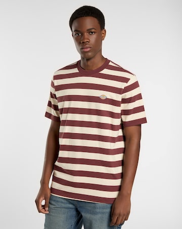 Dickies Rivergrove Short Sleeve Stripe T-Shirt - Andorra