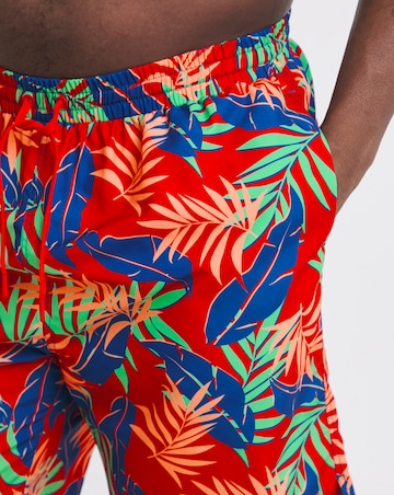 2 Pack Tropical Swim Shorts Long