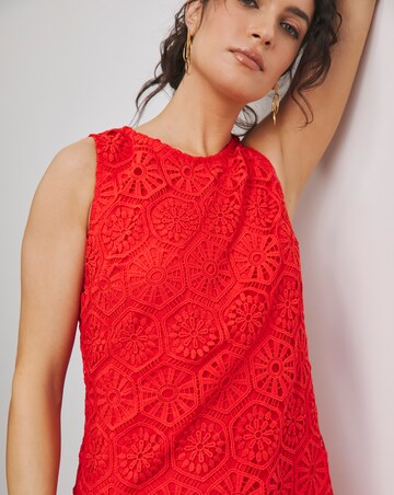 Joanna Hope Crochet Dress