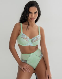 Pour Moi Sofia High Waist Deep Brief Pistachio/Blue