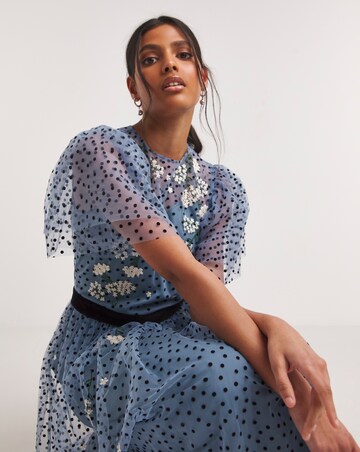 Joanna Hope Mesh Spot Midi Dress