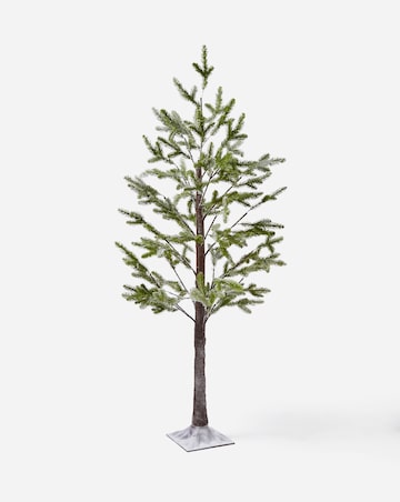 Noel Snowy Tree