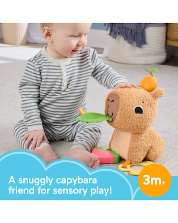 Fisher-Price Snuggly Snacky Capy