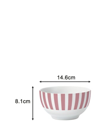 Waterside Pink Stripe 24 Piece Dinner Set