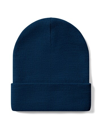 Berghaus Inflection Beanie