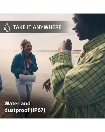 Sony SRSXG300 Portable Speaker - Grey