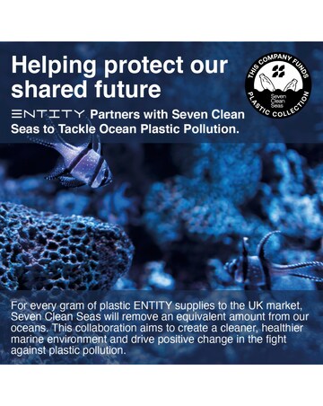 Entity 14.1in Intel N4020 4GB 128GB Windows 11 Laptop