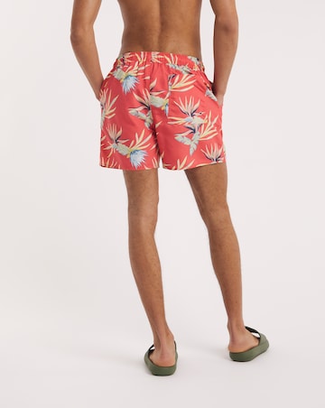 Joe Browns Tropical Swim Short