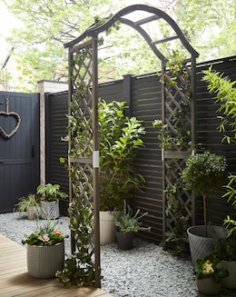 Wooden Arch