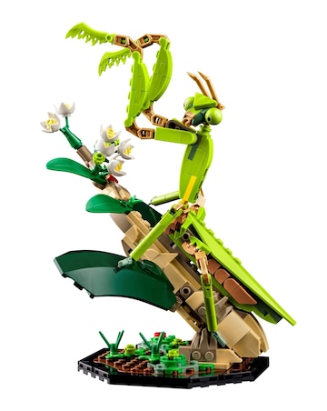 LEGO Ideas The Insect Collection 21342