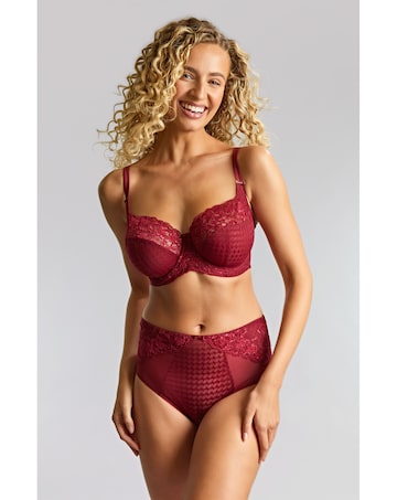 Panache Envy Deep Knicker Sparkling Cherry