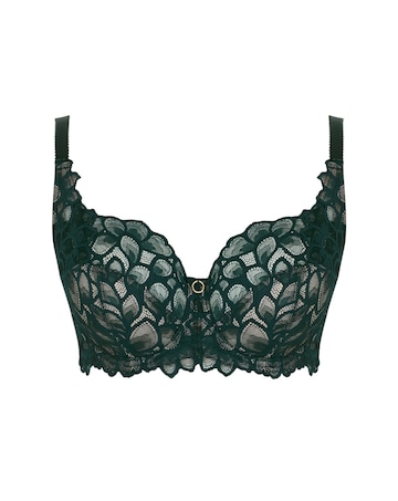 Panache Allure Full Cup Wired Bra Forest Green