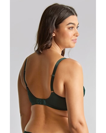 Panache Allure Full Cup Wired Bra Forest Green