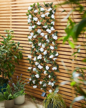 Pre-Lit Solar Hydrangea Trellis