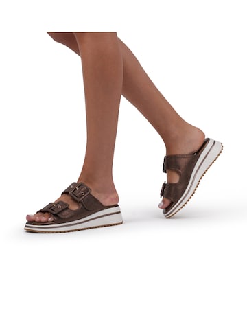 Paradox London Voyage Platform  Slidders