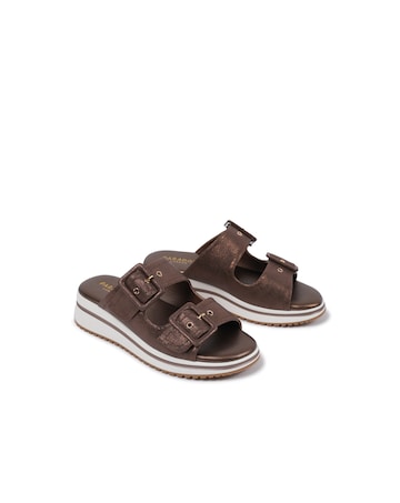 Paradox London Voyage Platform  Slidders