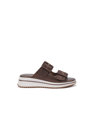 Paradox London Voyage Platform  Slidders