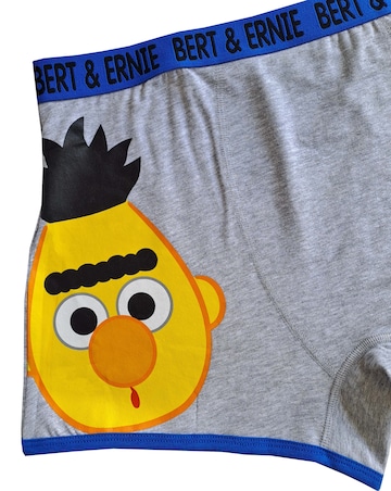 Mens 2pk Bert & Ernie Boxer