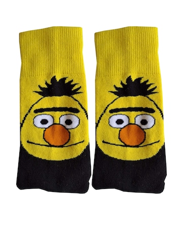 Mens Bert & Ernie 2pk Slipper Sock