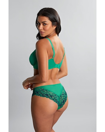 Panache Envy Plunge Wired Bra
