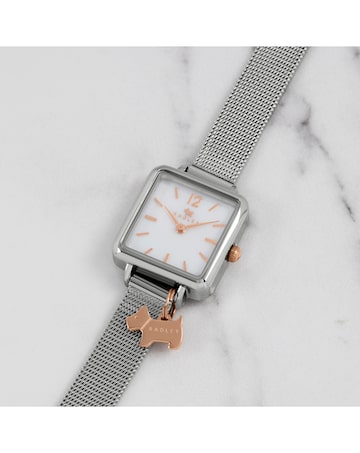 Radley Square Case Mesh Strap