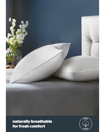Silentnight 2 Pack Duck Feather & Down Anti-Allergy Pillows