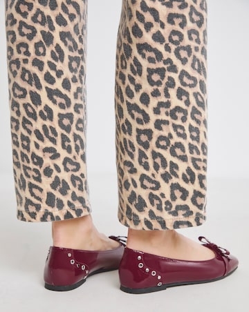 Catania Studded Bow Ballerina Shoes - Extra Wide Fit (EEE)