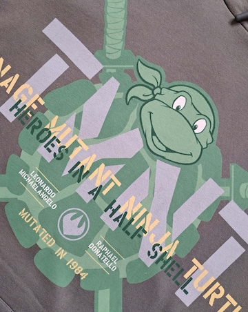 Mens Teenage Mutant Ninja Turtles Hoodie