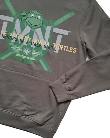 Mens Teenage Mutant Ninja Turtles Hoodie
